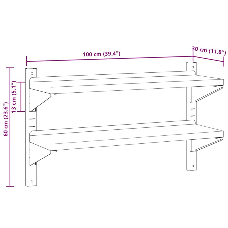 2-Tier Wall Shelf 100x30x60 cm Silver Stainless Steel