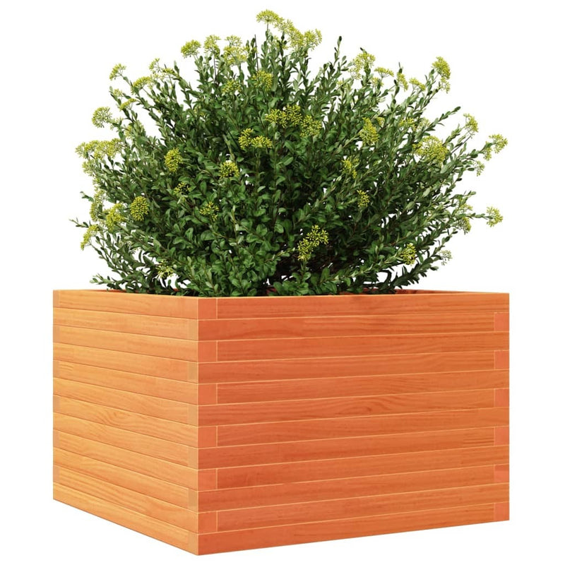 Garden Planter Wax Brown 70x70x46 cm Solid Wood Pine