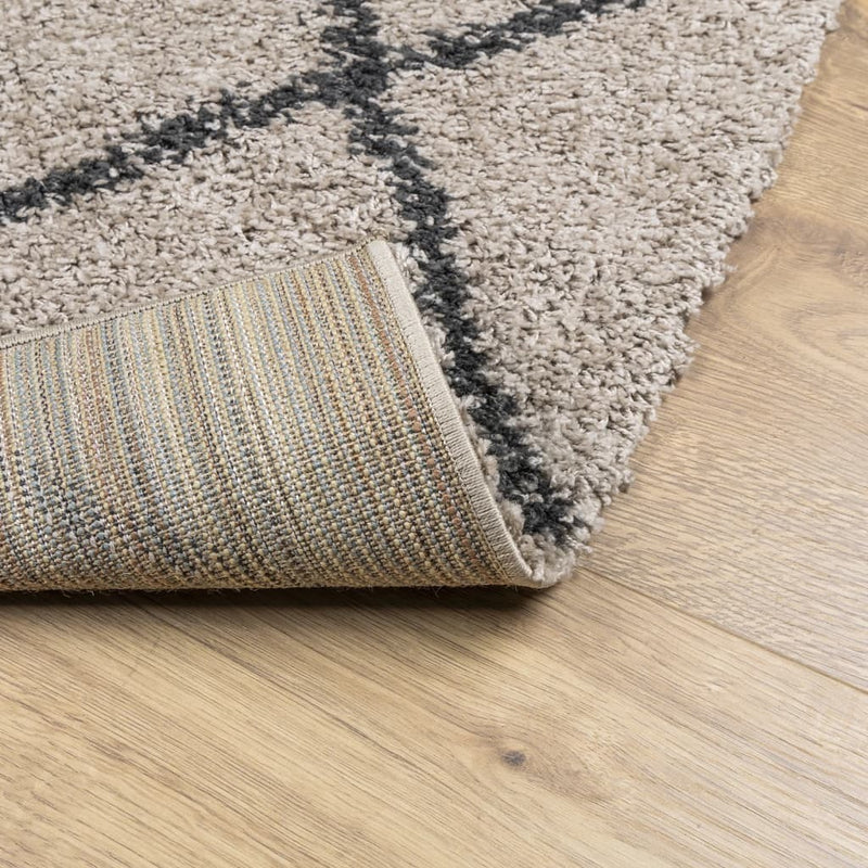 Shaggy Rug High Pile Modern Beige and Anthracite 80x150 cm