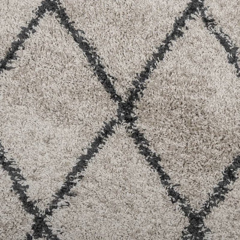 Shaggy Rug High Pile Modern Beige and Anthracite 80x150 cm