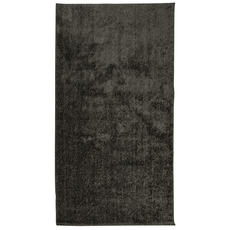 Rug ISTAN High Pile Shiny Look Anthracite 80x150 cm