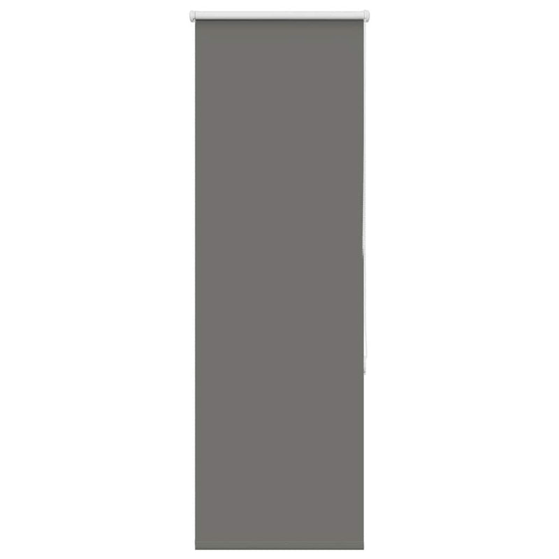 Roller Blind Blackout Grey 55x130 cm Fabric Width 50.7 cm Polyester