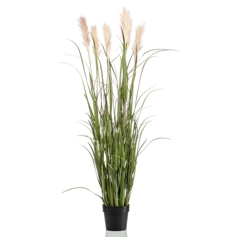 Emerald Artificial Pampas Grass in Pot 160 cm