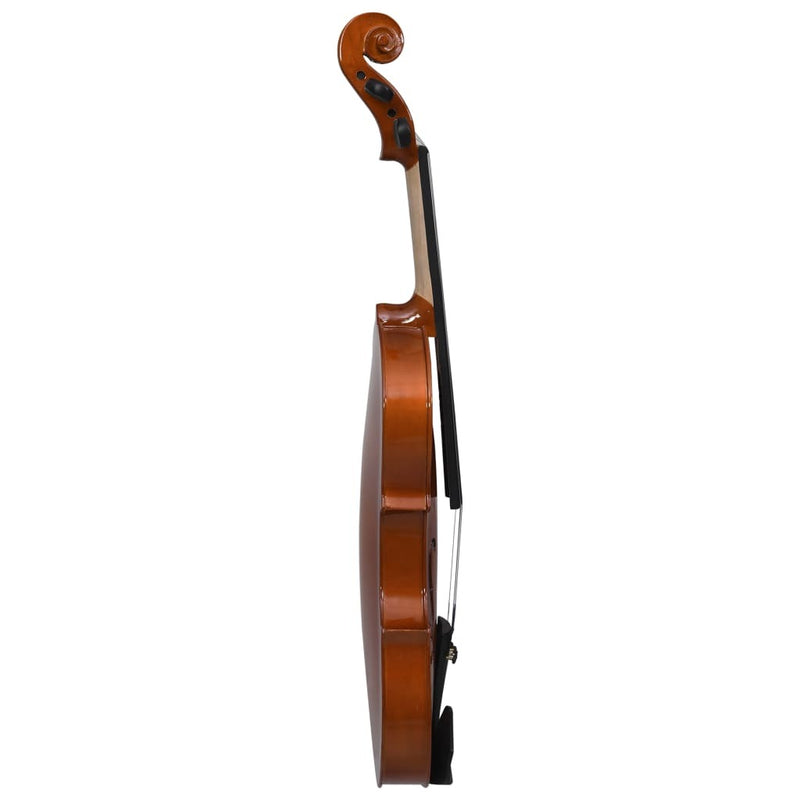 Violin Full Set with Bow and Chin Rest Dark Wood 4/4