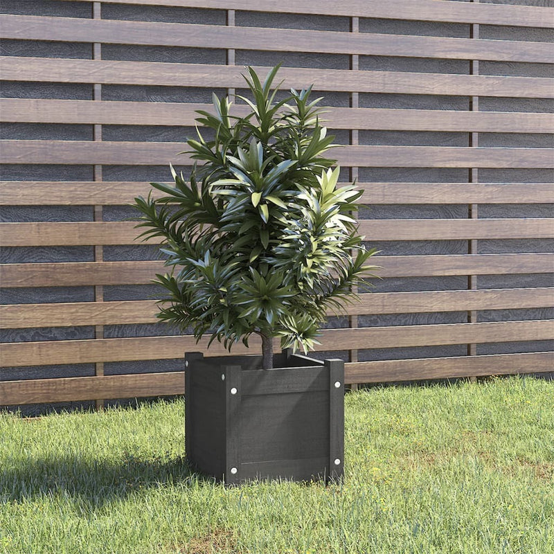 Garden Planter Grey 31x31x31 cm Solid Pinewood