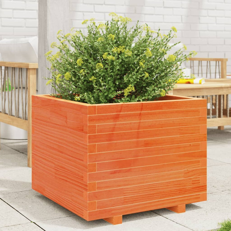 Garden Planter Wax Brown 60x60x49.5 cm Solid Wood Pine