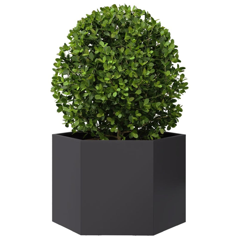 Garden Planter Black Hexagon 69x60x45 cm Steel