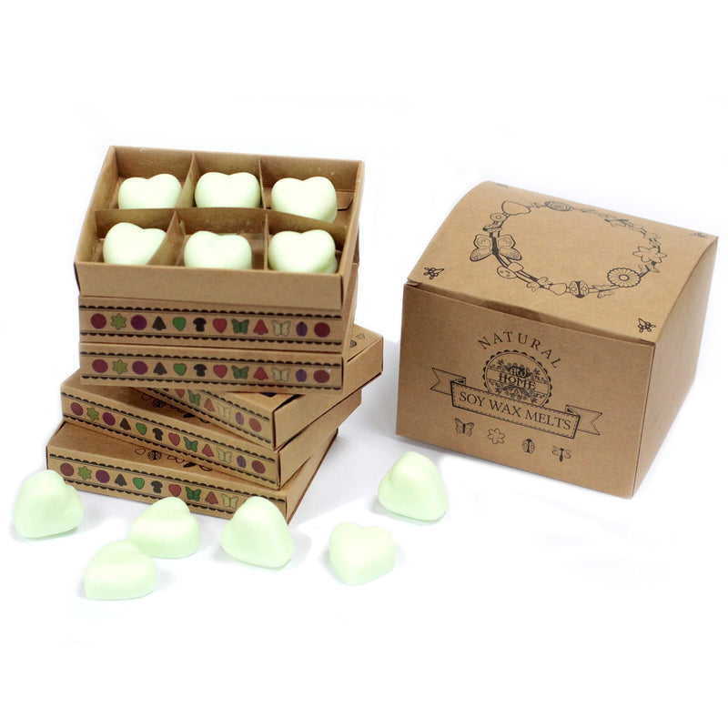 Box of 6 Wax Melts - Brandy Butter - Per case: 1 Piece