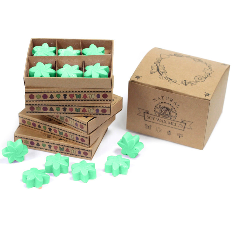 Box of 6  Wax Melts - Hidden Garden - Per case: 1 Piece