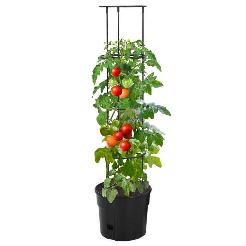 Tomato Grower Anthracite 29.5x115 cm Polypropylene